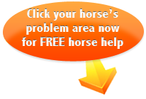 Free Horse Help