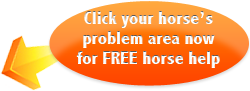 Free Horse Help