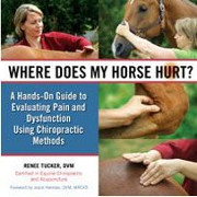 Where does my horse hurt?