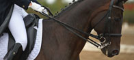 horse-problem-list
