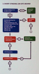 Flow Chart