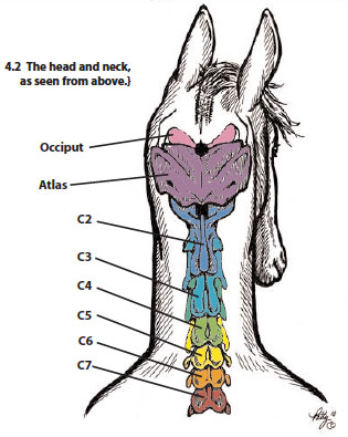 Figure 4.2